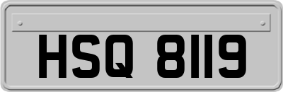HSQ8119