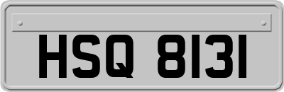 HSQ8131