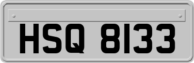 HSQ8133