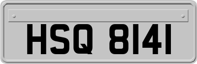 HSQ8141