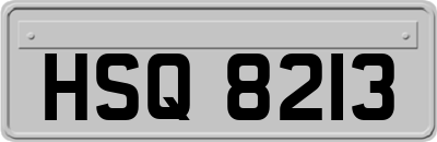 HSQ8213