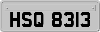 HSQ8313