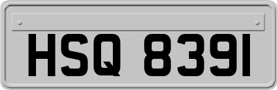 HSQ8391