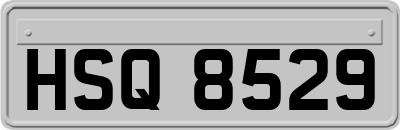 HSQ8529