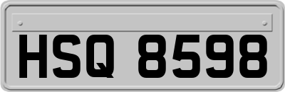 HSQ8598