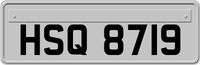 HSQ8719