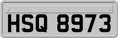 HSQ8973