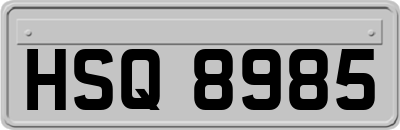 HSQ8985