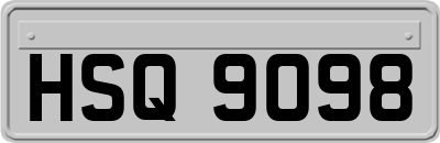 HSQ9098