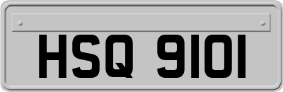 HSQ9101