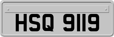 HSQ9119