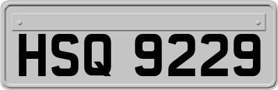 HSQ9229
