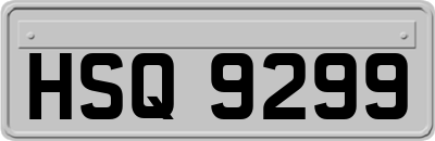 HSQ9299