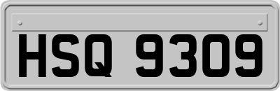 HSQ9309