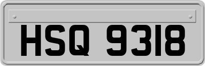 HSQ9318