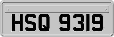 HSQ9319