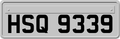 HSQ9339