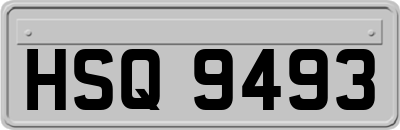 HSQ9493