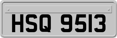 HSQ9513