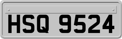 HSQ9524