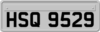HSQ9529