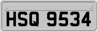 HSQ9534