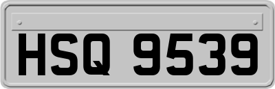 HSQ9539