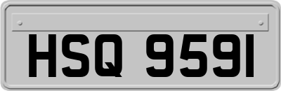 HSQ9591