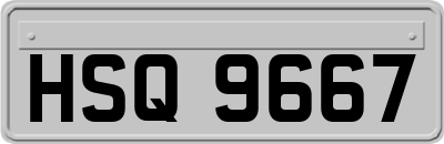HSQ9667