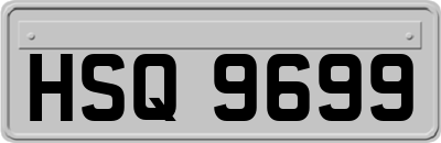 HSQ9699