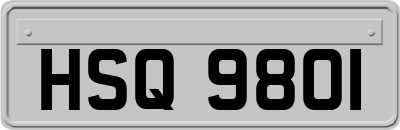 HSQ9801