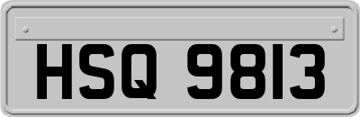 HSQ9813
