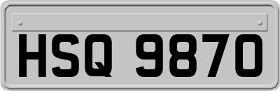 HSQ9870