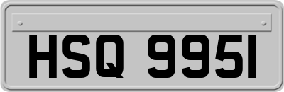 HSQ9951