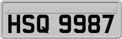 HSQ9987