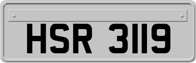 HSR3119