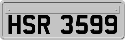 HSR3599