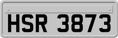 HSR3873