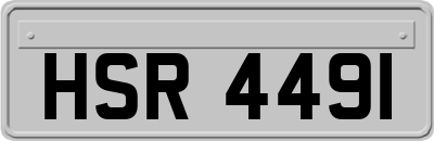 HSR4491