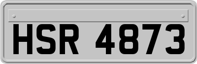 HSR4873