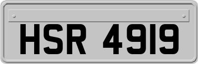 HSR4919