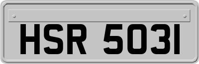 HSR5031