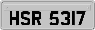 HSR5317