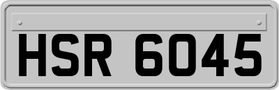 HSR6045