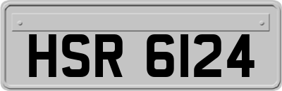HSR6124