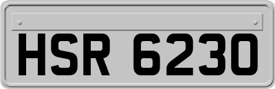 HSR6230