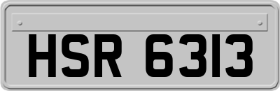 HSR6313