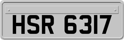HSR6317