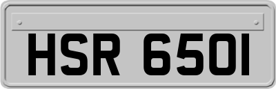 HSR6501