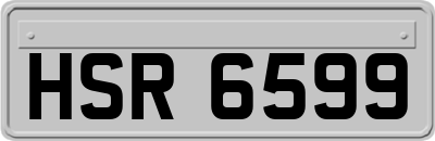 HSR6599